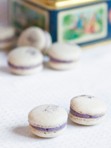Blåbärsmacarons