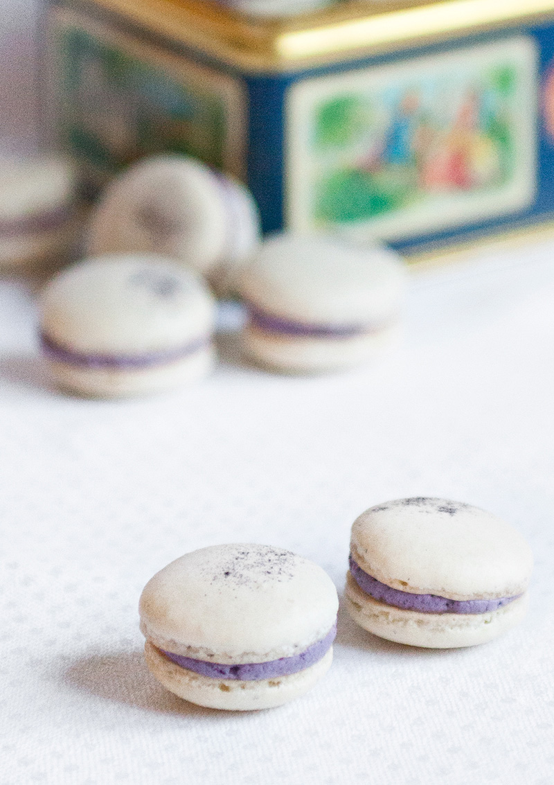 Blåbärsmacarons