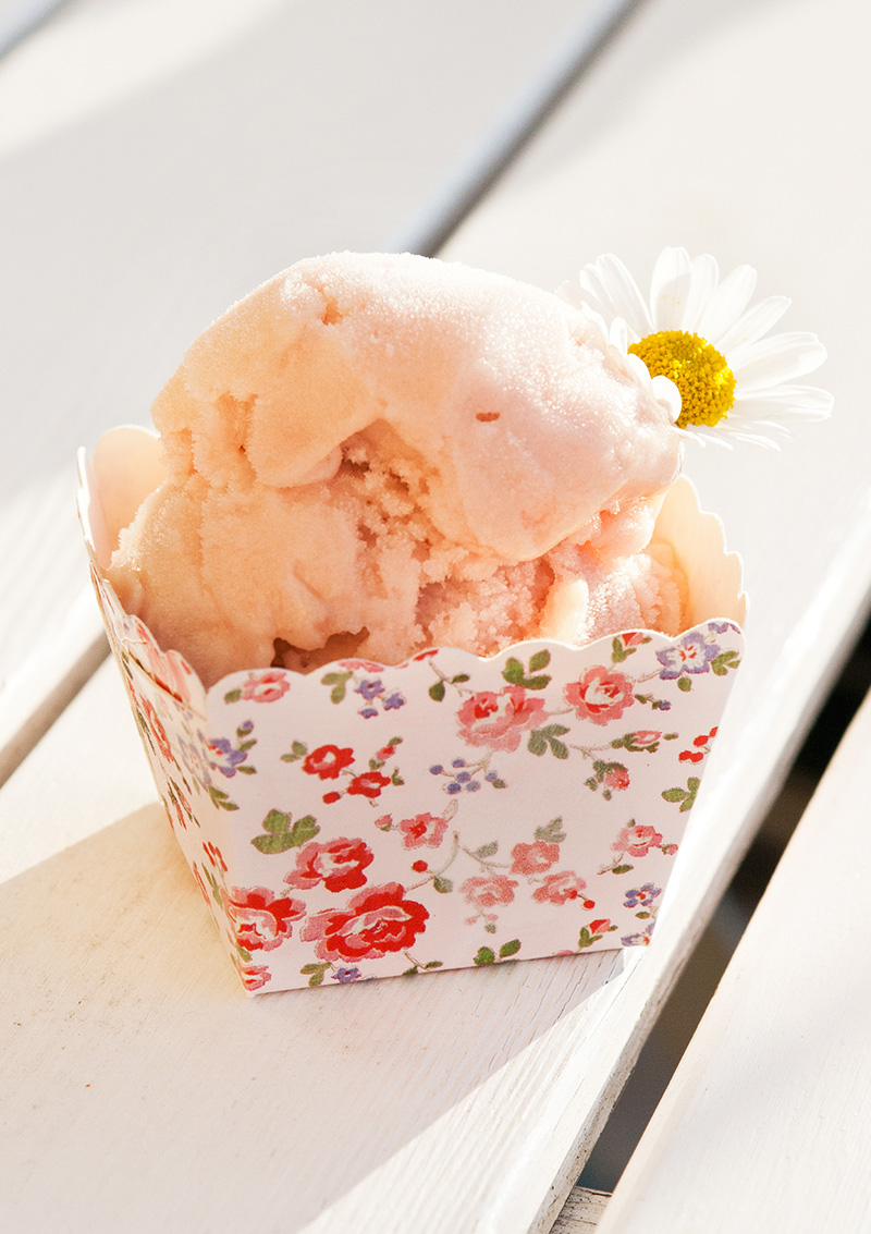 Rabarbersorbet