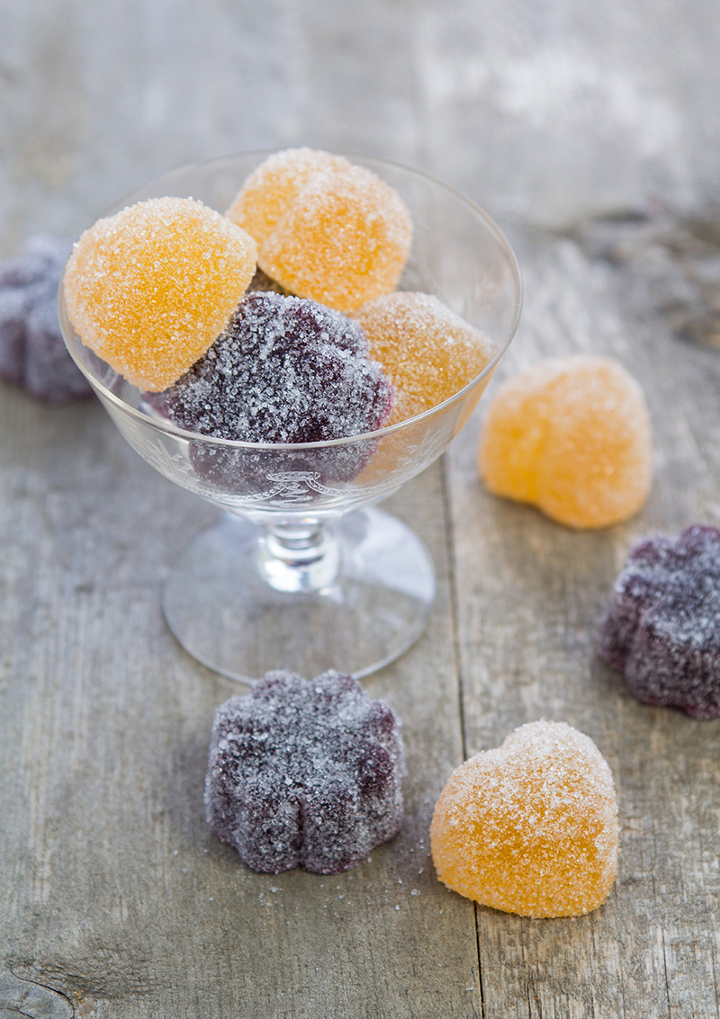 Gelégodis